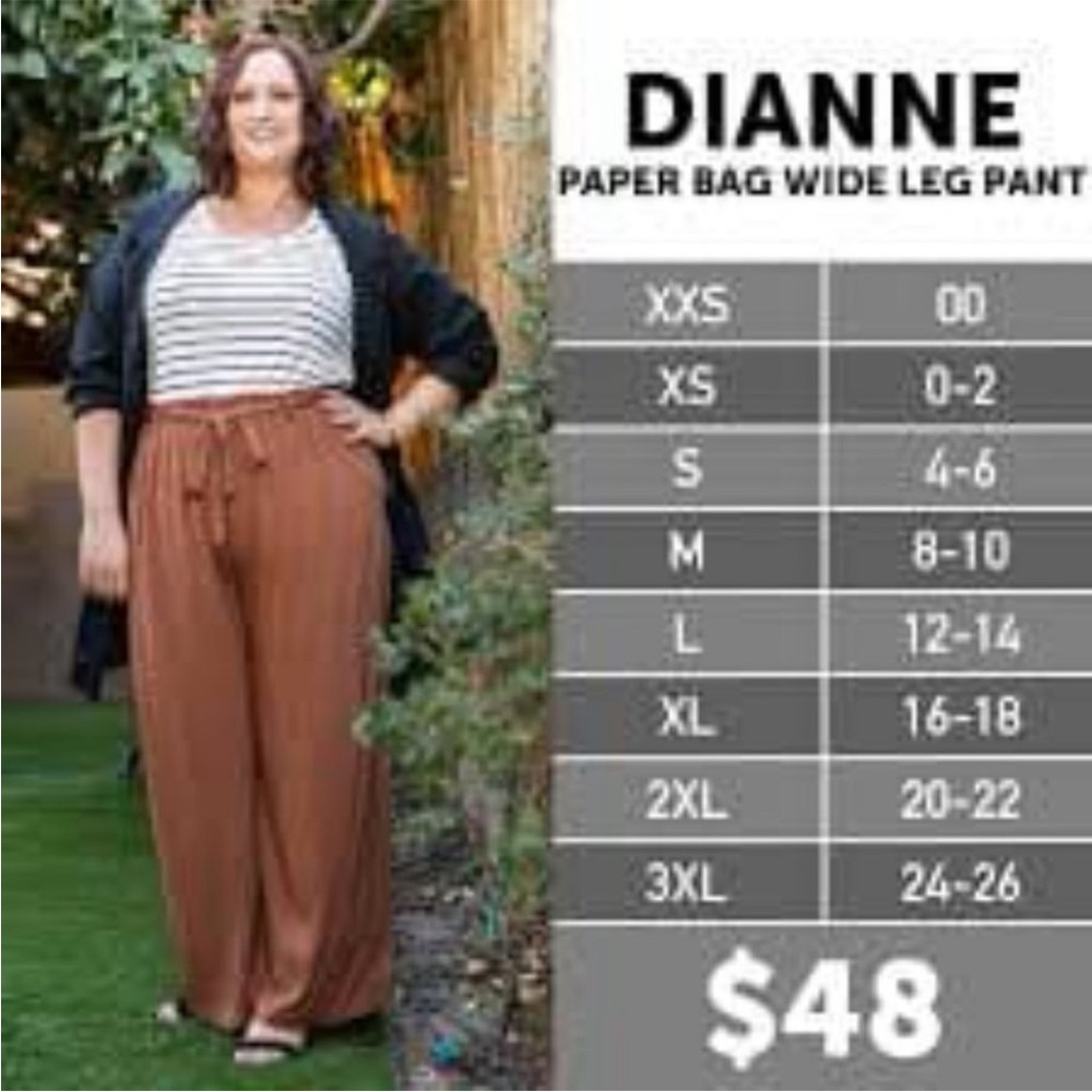 LulaRoe crinkle fabric paper bag elastic waist style wide leg pants. Size Medium